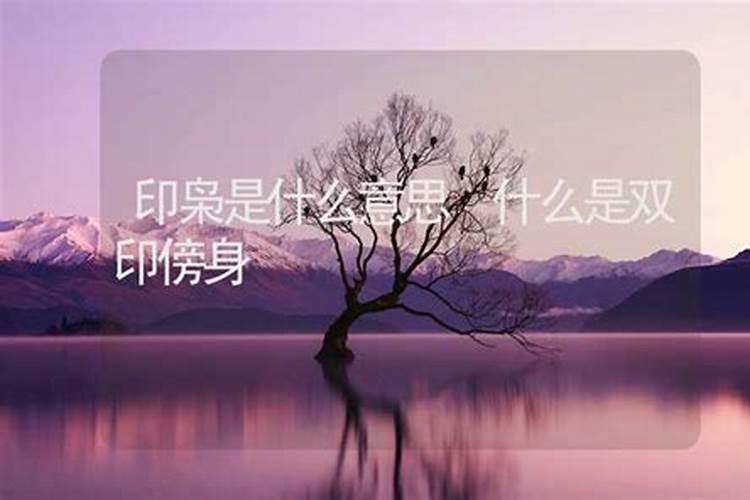 算命枭才是什么意思