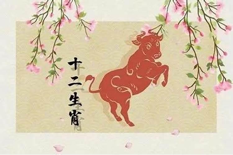 属牛农历5月份的运程如何