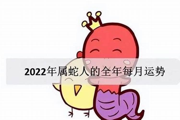 属蛇今年怀孕到明年生女吗