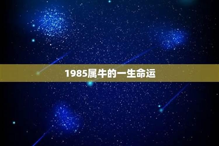 1985属牛农历十月出生运势