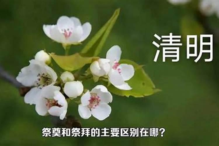 清明节是祭拜先人的日子