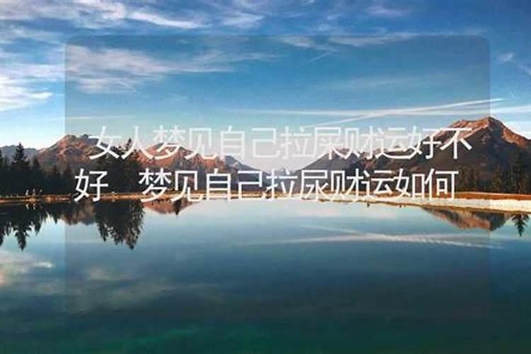 梦见什么表示财运好不好