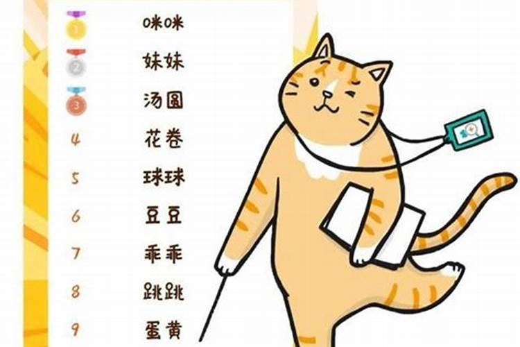 冬至出生的猫咪取名字好吗