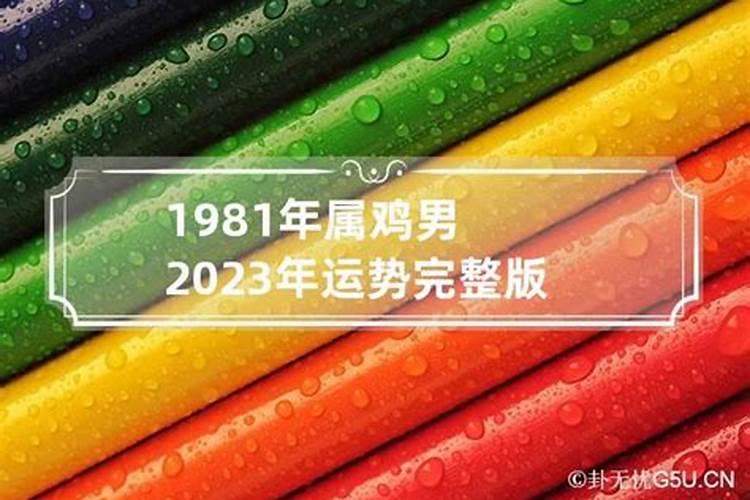 1981年属鸡2023年感情运势