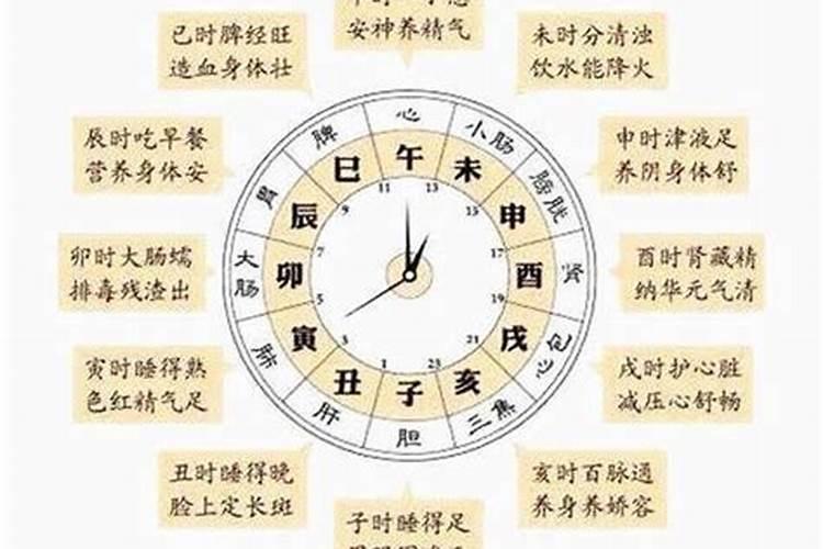 半夜子时是属什么生肖