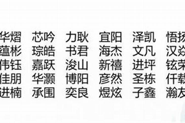 王姓男宝宝名字大全属虎