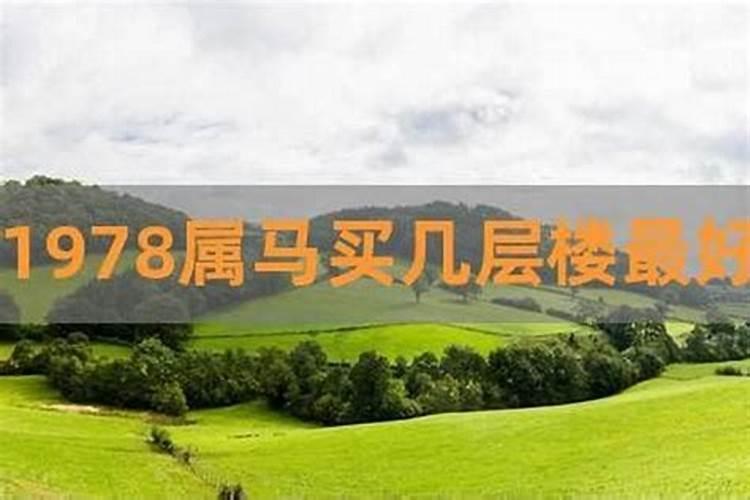 属马的住几楼最吉利层