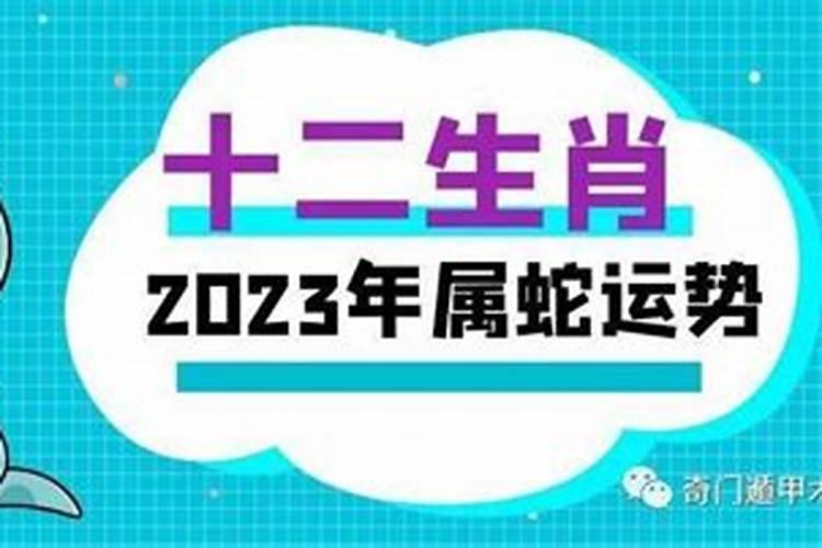 2023年生肖蛇5月运程怎么样