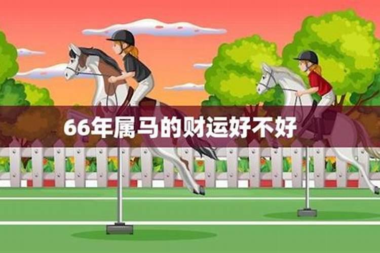 66年属马的2023年运势好不好