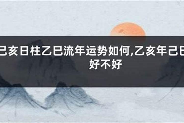 乙亥日柱财运好不好