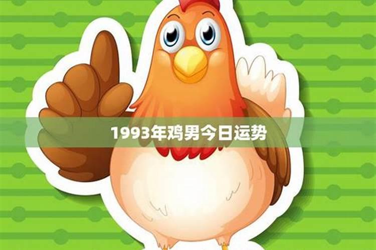 93年的鸡男今年的运势