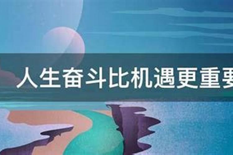 运气和机遇与努力的总结