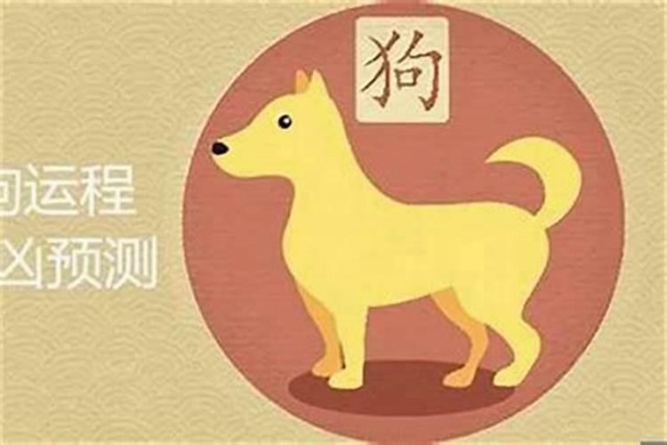 属相猪与猪婚配可以吗