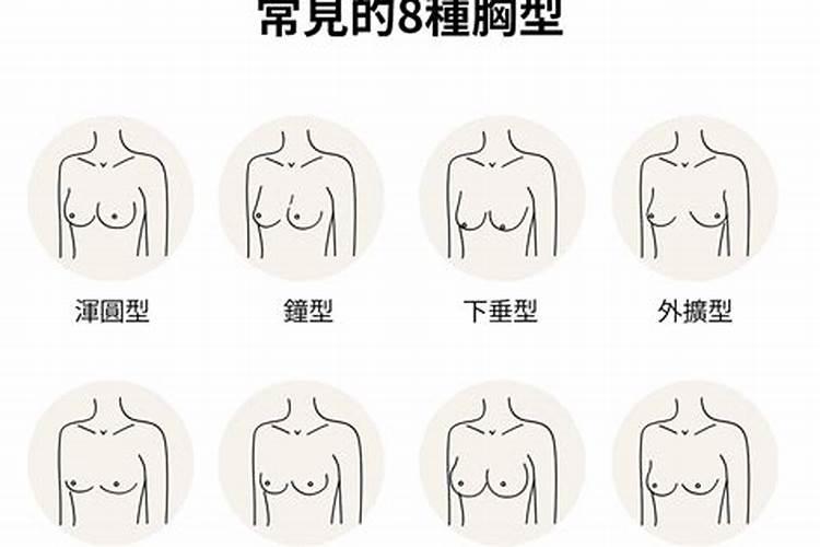 八字命理怎么解释乳房