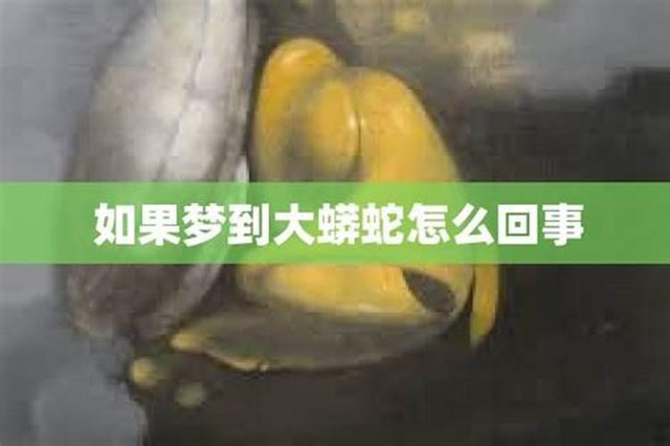 梦到好多蟒蛇预示着什么周公解梦