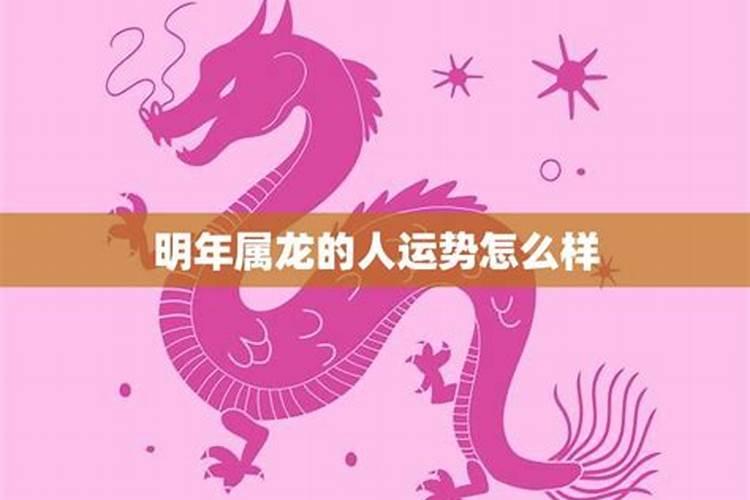 明年属龙女的运势