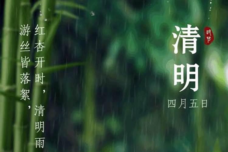 梦见清明节拜祭下雨