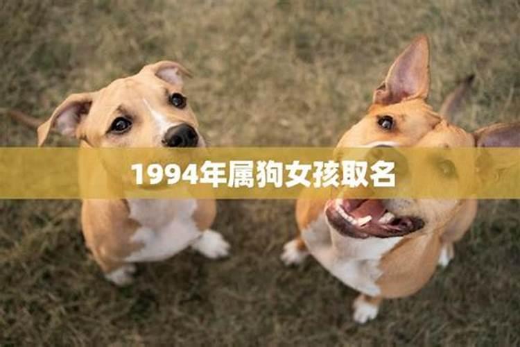 1994年属狗女全年运势