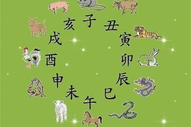 狗虎八字合不合