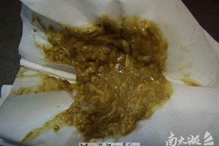 梦见拉屎弄到裤子上很脏