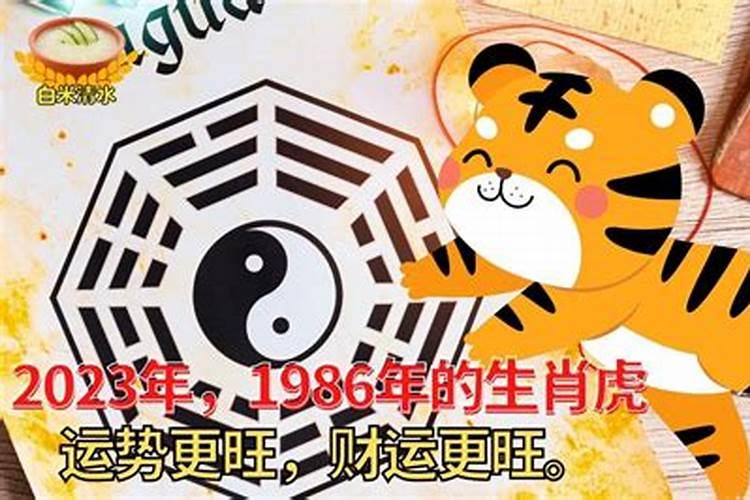 1986的虎九月运势如何