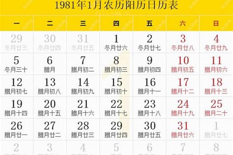 1981年阴历12月30出生的运势