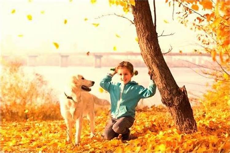 梦见家中人死去多年的老狗