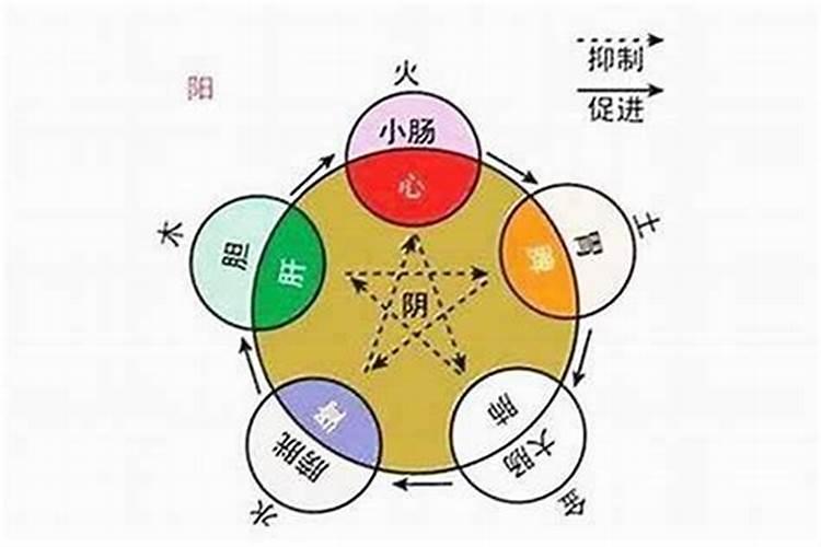 怎么算生辰八字阴阳属性