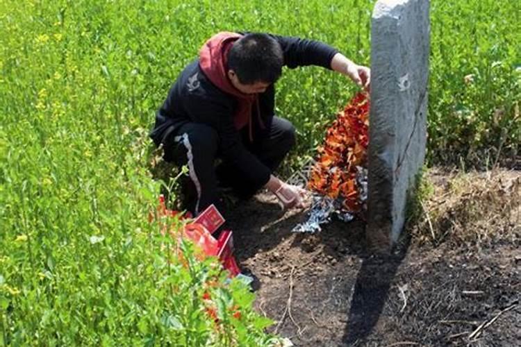 梦见上坟祭拜先祖