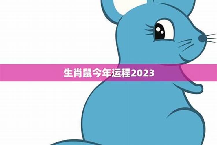 鼠运势2023年今年运气