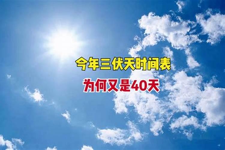 2024年出生的宝宝生肖运势