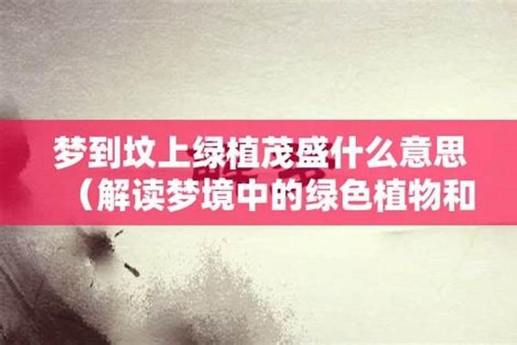 梦见墓地放羊绿草茂盛啥意思