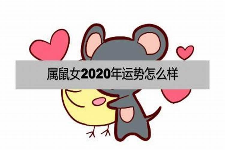 鼠女运势2020