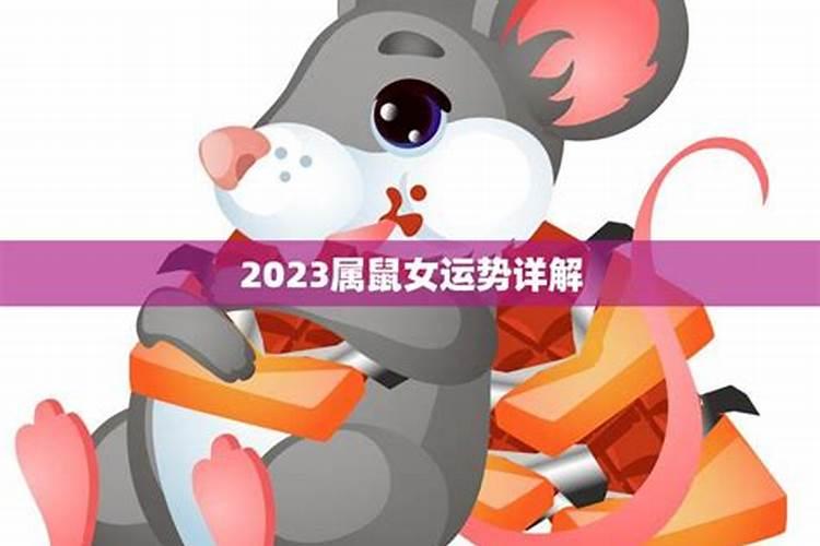 鼠女运势2020