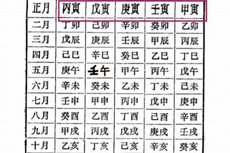 八字己巳年