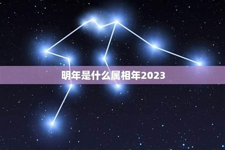 明年是什么生肖年2025