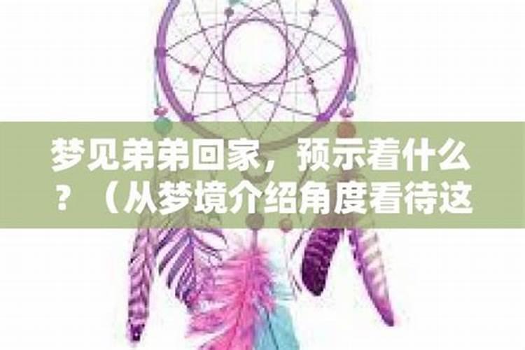 梦见在外打工的弟弟回家了