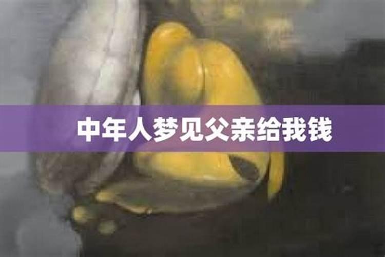 梦见老爸给我钱2021年2月