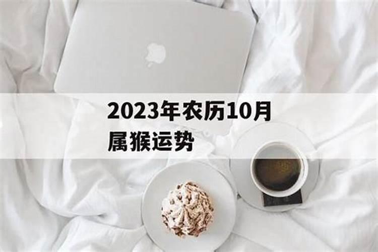 属猴人2020年农历10月运势