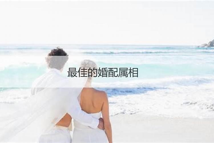 属相婚配不合如何化解