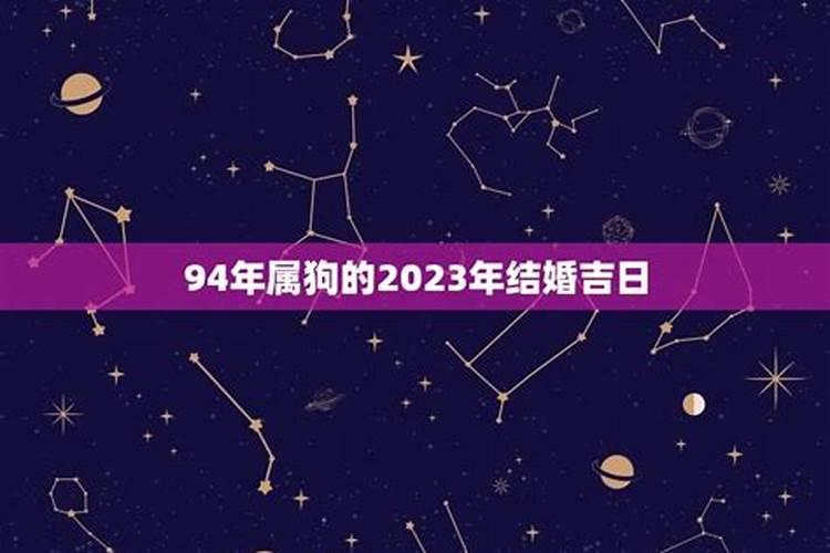 属狗2021年结婚