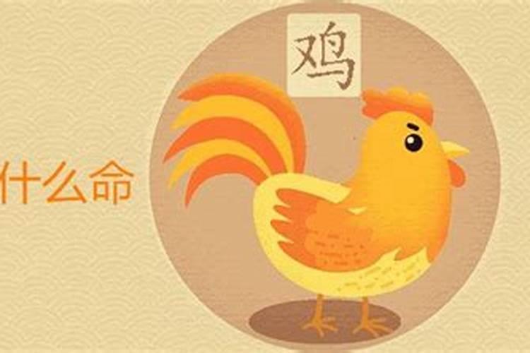 六十二属鸡今年的运程