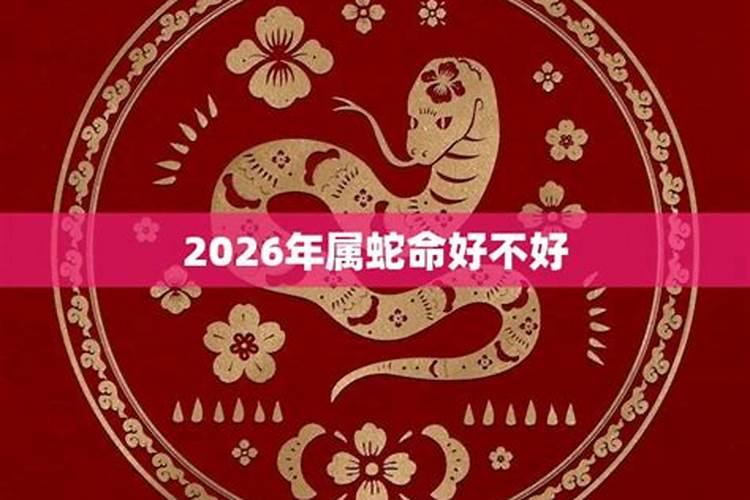 2026年属蛇人的运势