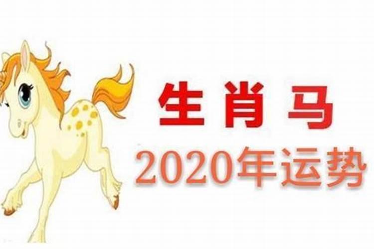 属马2023腊月运势如何