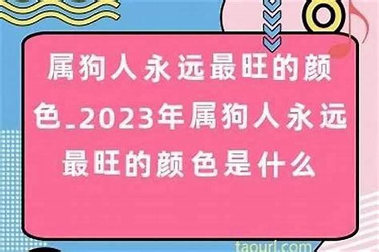 属狗二月生人有福气吗