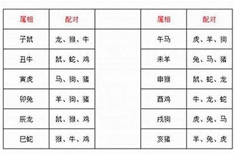 婚姻生肖相克如何化解相冲的人