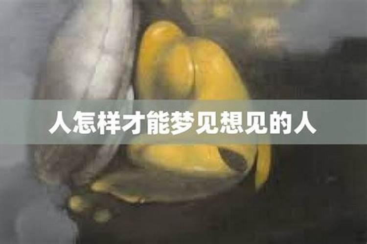 做梦梦到不想见的人是什么意思