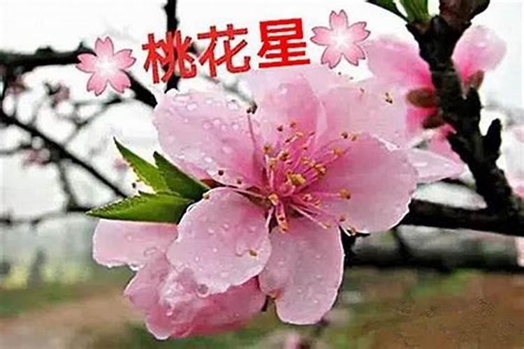 八字中带桃花的人特点