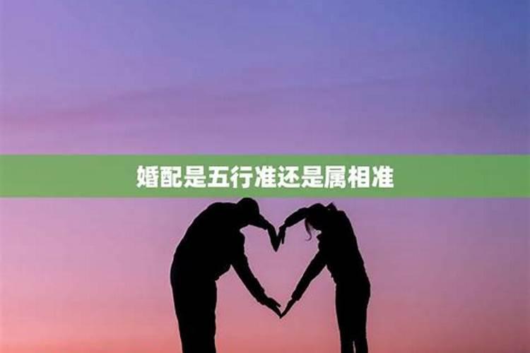 婚姻属相准还是八字准