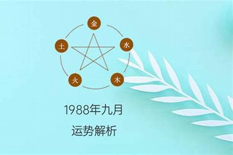 1988年九月初九的命运是什么